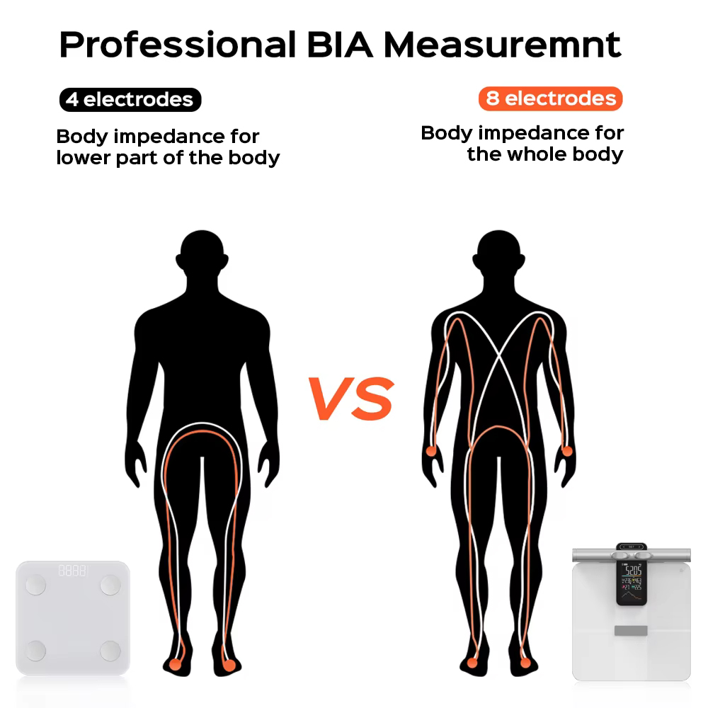 2025 ใหม่ออฟไลน์ฟังก์ชั่นการวั - Digital Body Weight Scale บทวิจารณ์และราคา