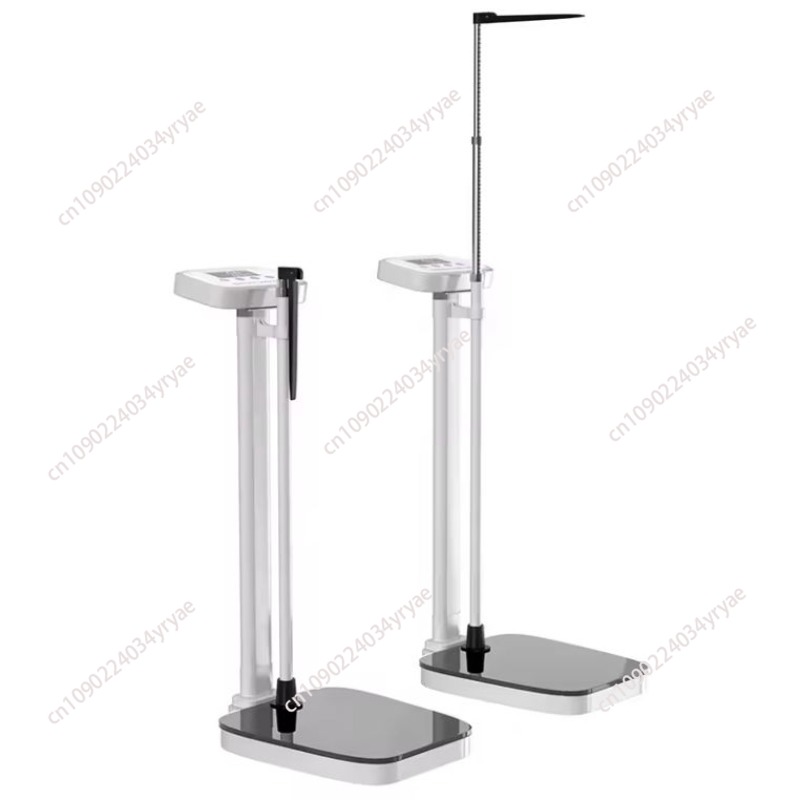 เครื่องชั่งน้ำหนักอัจฉริยะ เชื - Digital Body Weight Scale บทวิจารณ์และราคา
